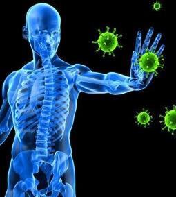 5 egyszerű lépés az erős immunrendszerért!